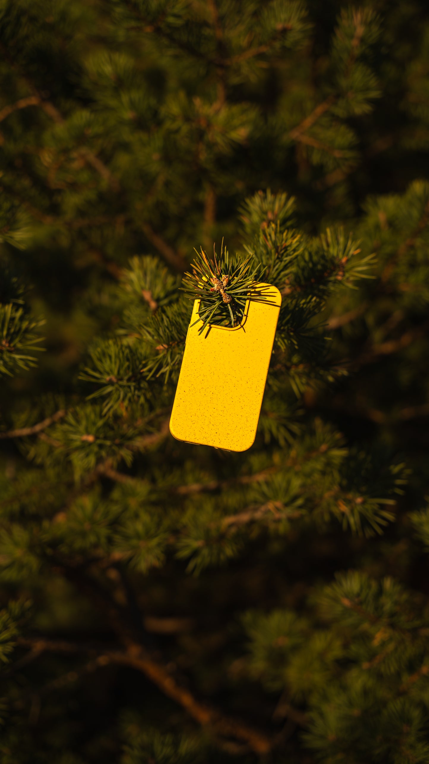 iPhone Eco Case in Gelb – biologisch abbaubare Handyhülle aus Silikon-Weizenstroh-Mischung in Waldumgebung